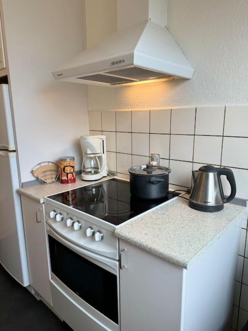Stor Og Lys Lejlighed I Hjertet Af Holstebro Ngoại thất bức ảnh