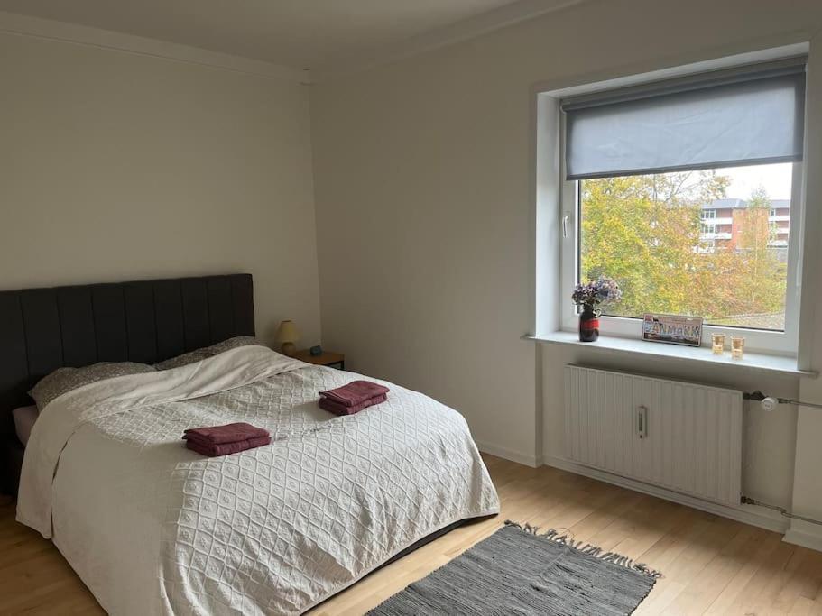 Stor Og Lys Lejlighed I Hjertet Af Holstebro Ngoại thất bức ảnh