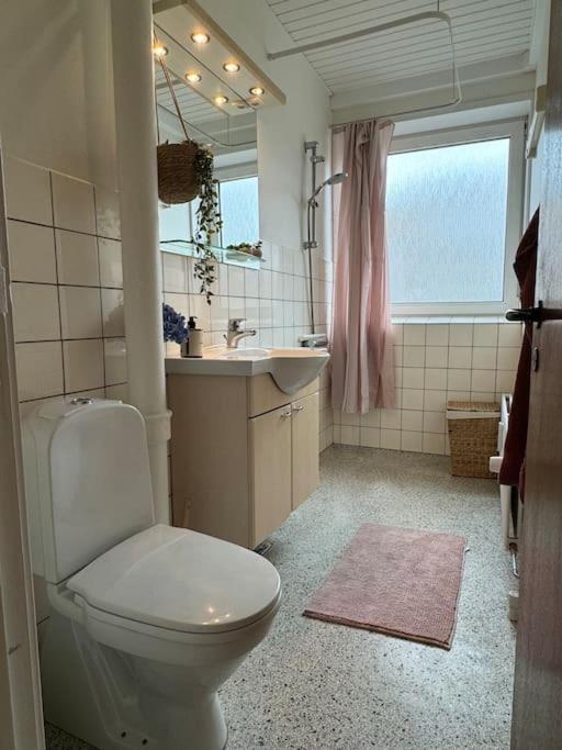 Stor Og Lys Lejlighed I Hjertet Af Holstebro Ngoại thất bức ảnh