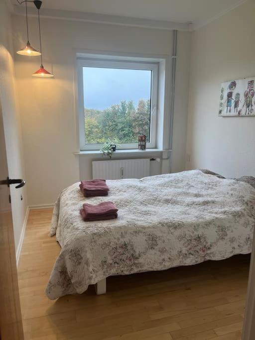 Stor Og Lys Lejlighed I Hjertet Af Holstebro Ngoại thất bức ảnh